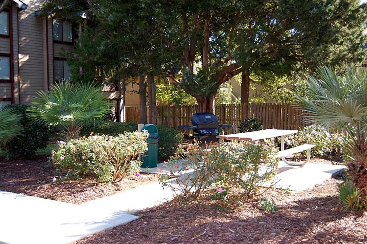 An inviting outdoor grilling area featuring a picnic table and a barbecue grill surrounded by landscaped bushes and palm trees, set on a sunny afternoon. The space is ready for alfresco dining or social gatherings.